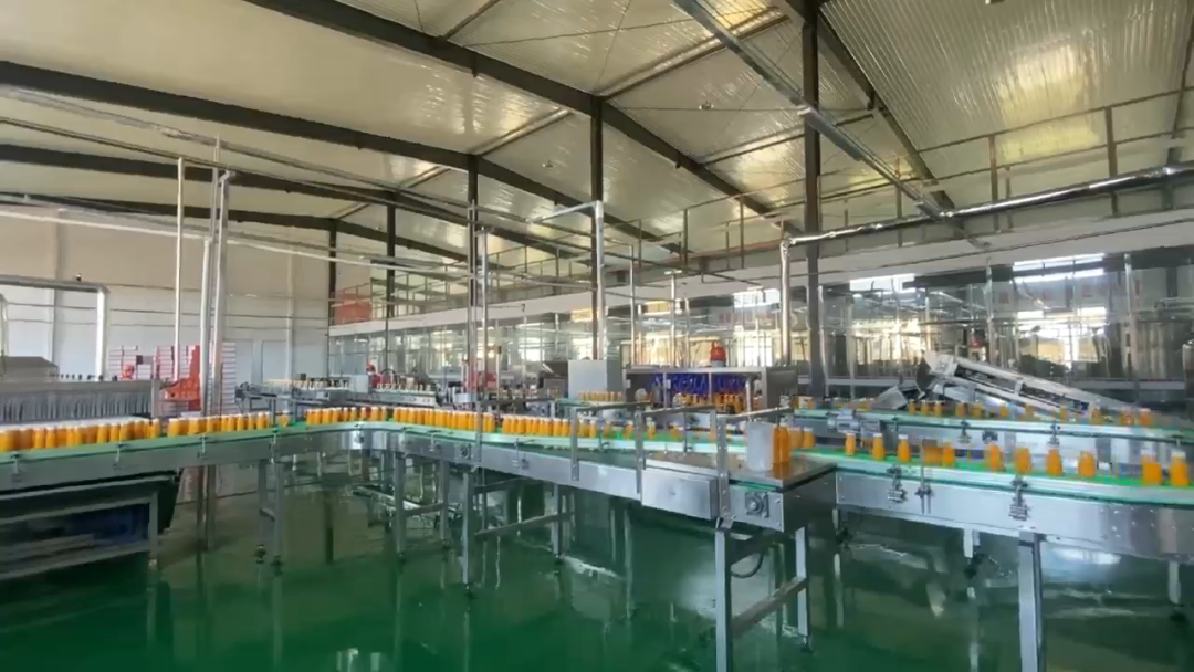 沙棘产品订单不断企业开足马力生产